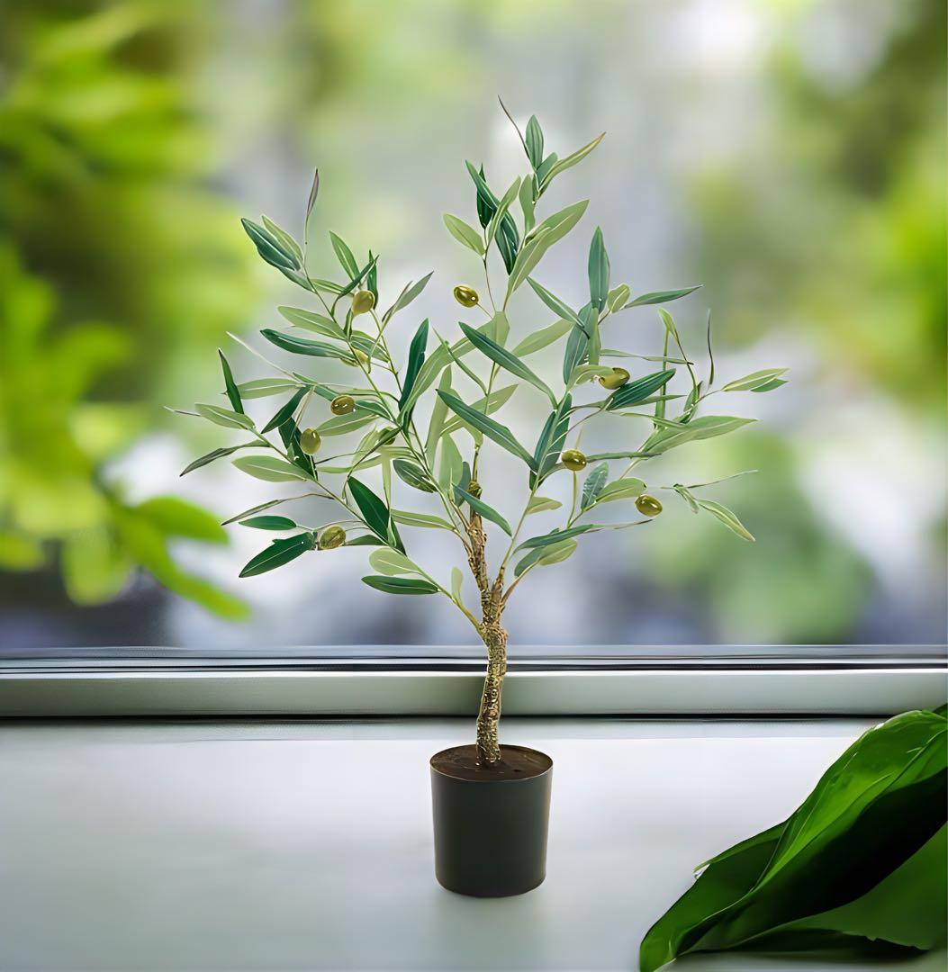 光触媒　人工観葉植物　ウォールグリーン　フェイクグリーン　オリーブミニポット