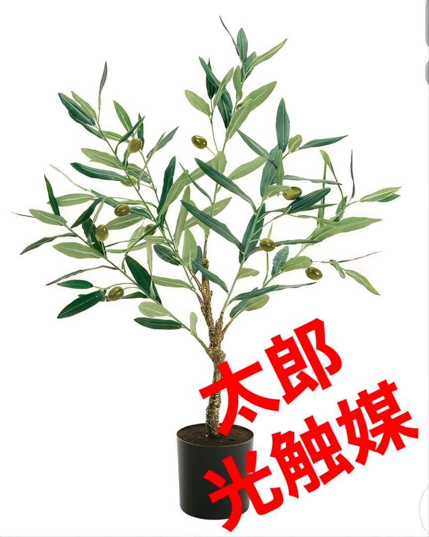 光触媒　人工観葉植物　ウォールグリーン　フェイクグリーン　オリーブミニポット