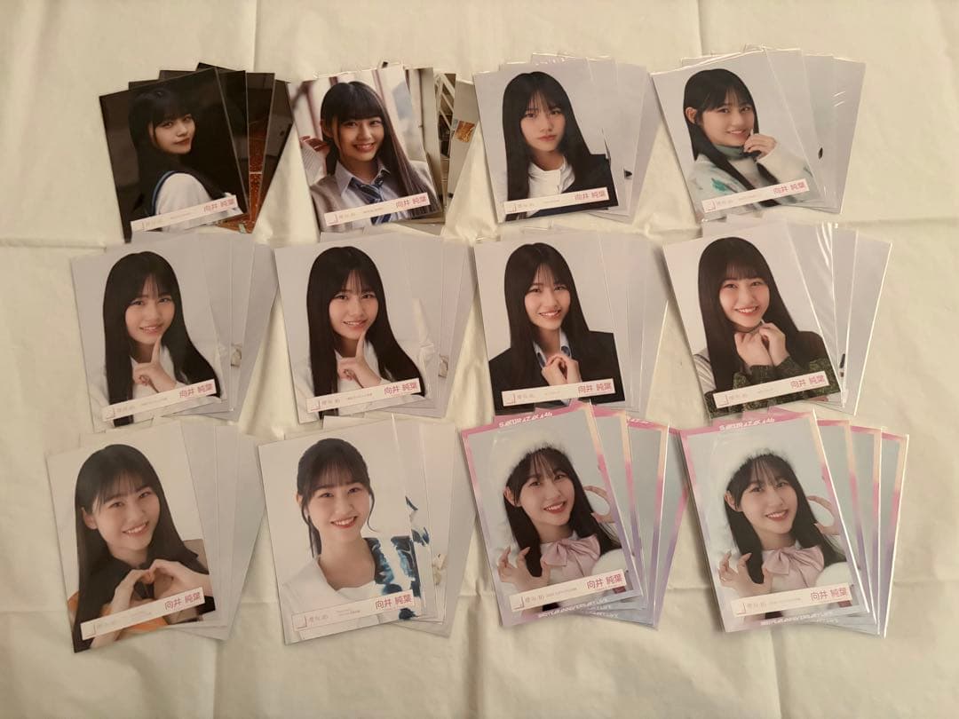櫻坂46 生写真 コンプ まとめ売り 向井純葉【B】