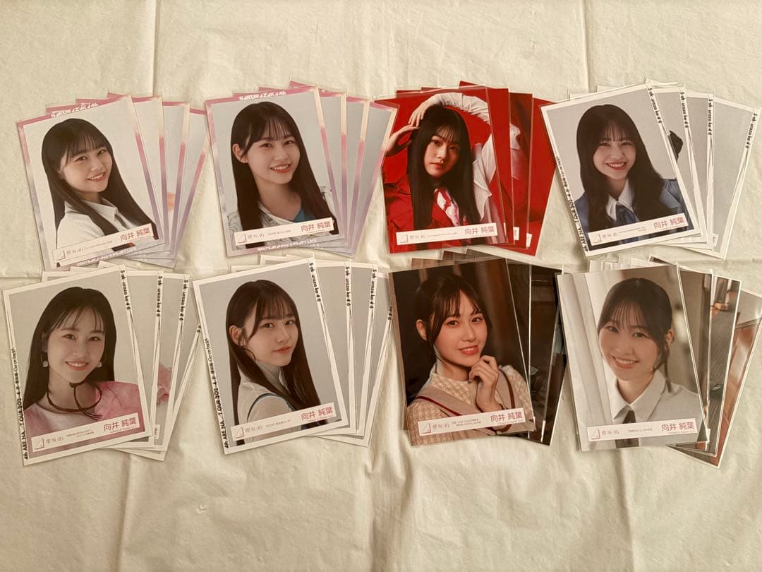 櫻坂46 生写真 コンプ まとめ売り 向井純葉【B】