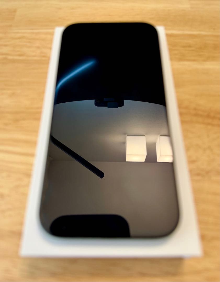 【極美品！】iPhone 16 Pro 256GB SIMフリー
