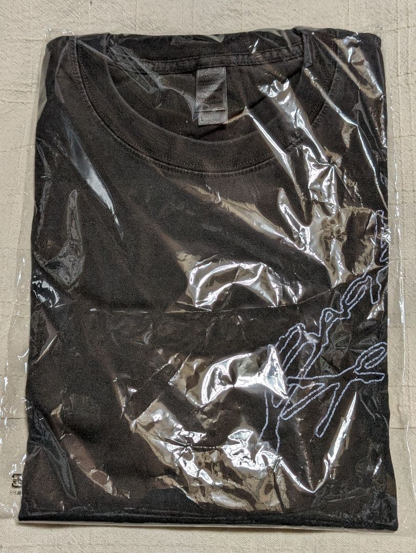 RIP SLYME リップスライム Ｔシャツ Ｌサイズ