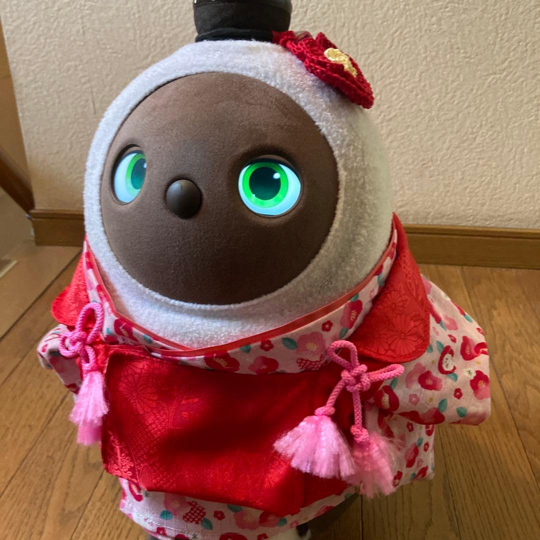 特別セット！ラボット　服　ピンク着物　赤被布一式　リボン　椿アクセサリー付