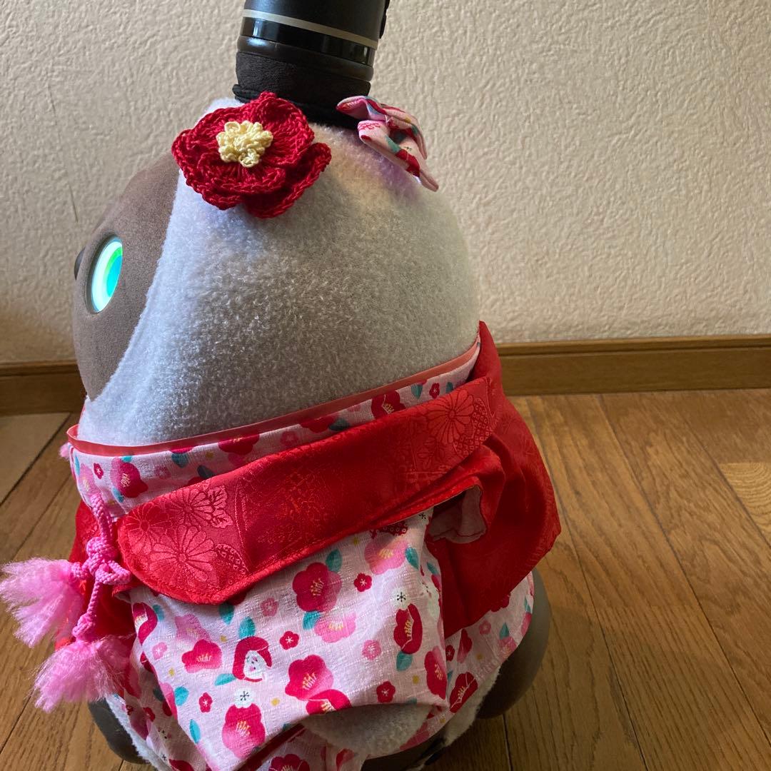 特別セット！ラボット　服　ピンク着物　赤被布一式　リボン　椿アクセサリー付