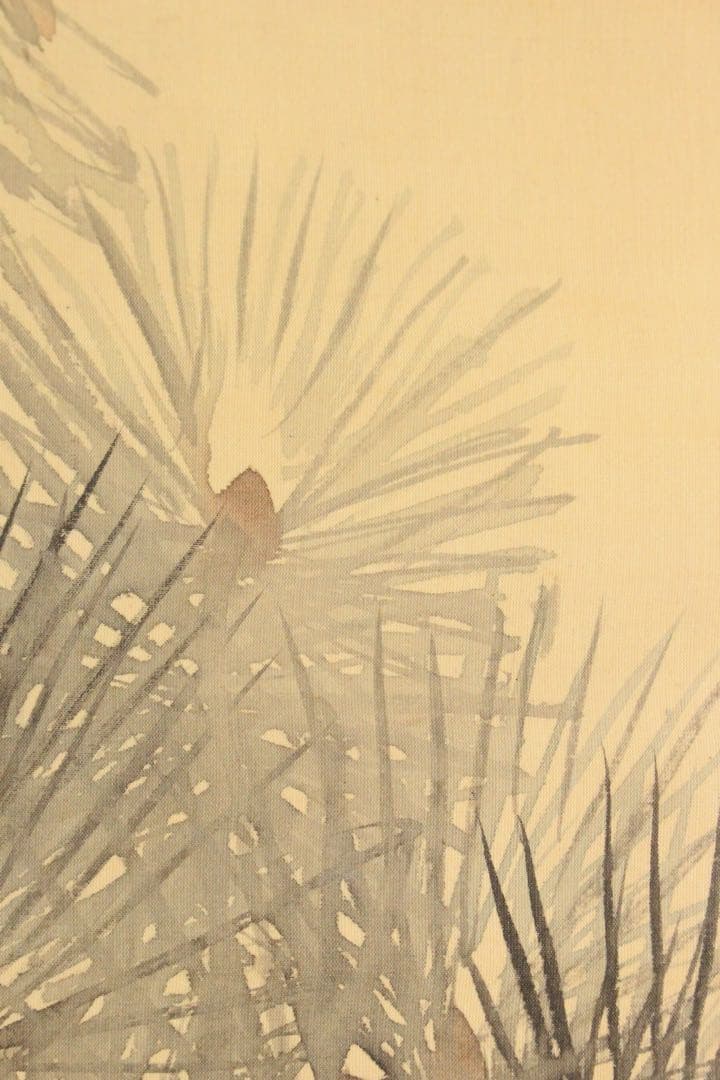 No5254掛軸　海外天年　松竹小禽図　絹本淡彩　日本画　花鳥　古美術　送料無料