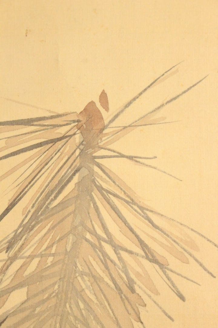 No5254掛軸　海外天年　松竹小禽図　絹本淡彩　日本画　花鳥　古美術　送料無料