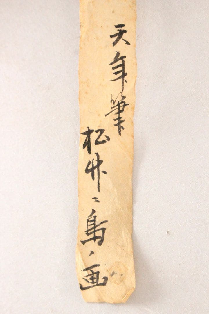 No5254掛軸　海外天年　松竹小禽図　絹本淡彩　日本画　花鳥　古美術　送料無料