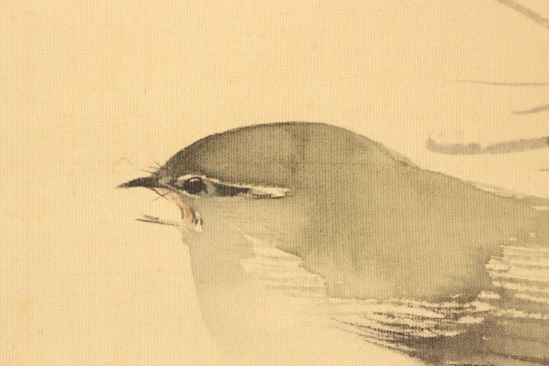 No5254掛軸　海外天年　松竹小禽図　絹本淡彩　日本画　花鳥　古美術　送料無料