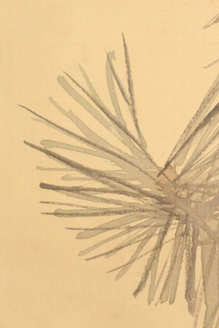 No5254掛軸　海外天年　松竹小禽図　絹本淡彩　日本画　花鳥　古美術　送料無料