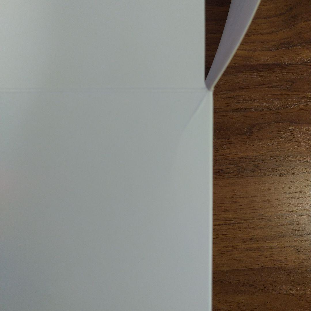 【未使用】FRUITS ZIPPERペンライトホワイト(オリジナルショッパー付)