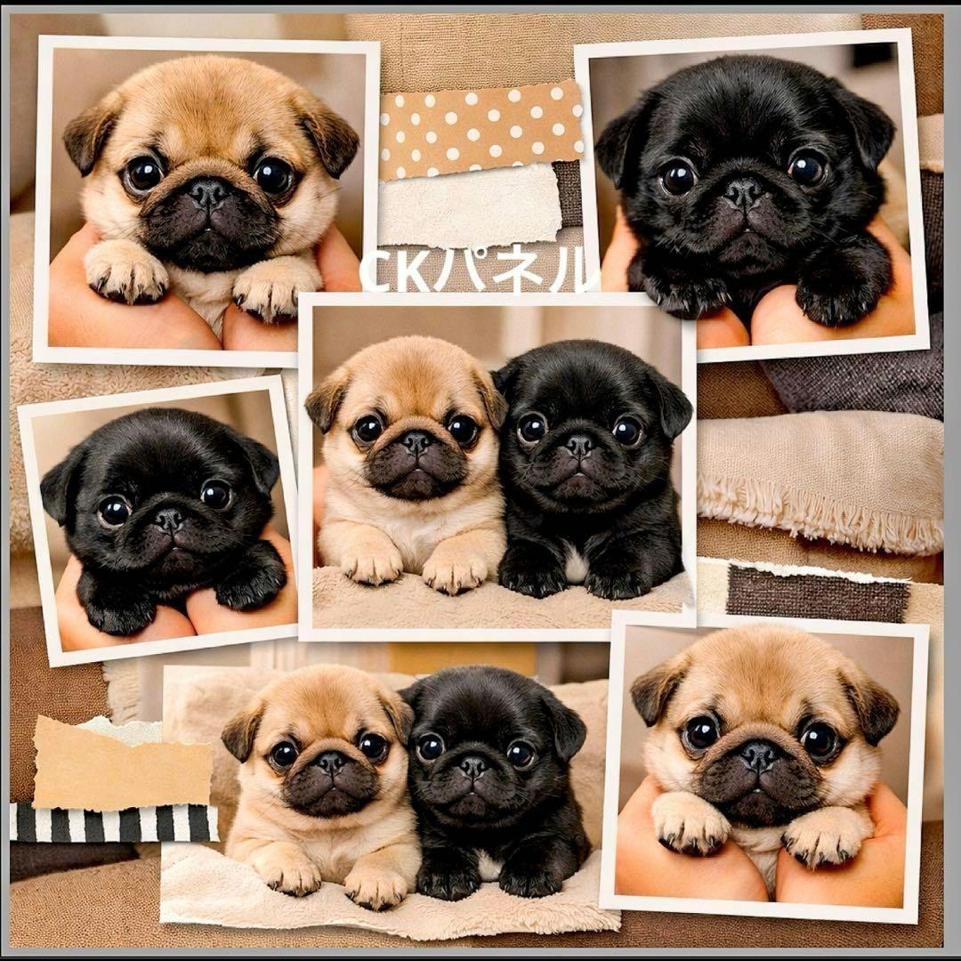 激レア柴犬、チワワ、ポメラニアン、パグ、マルチーズ、シーズパネル生地ハンドメイド
