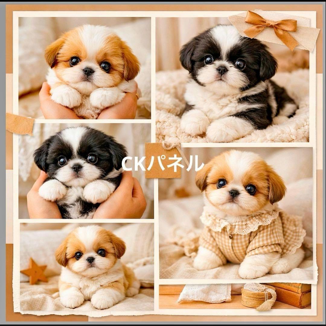激レア柴犬、チワワ、ポメラニアン、パグ、マルチーズ、シーズパネル生地ハンドメイド