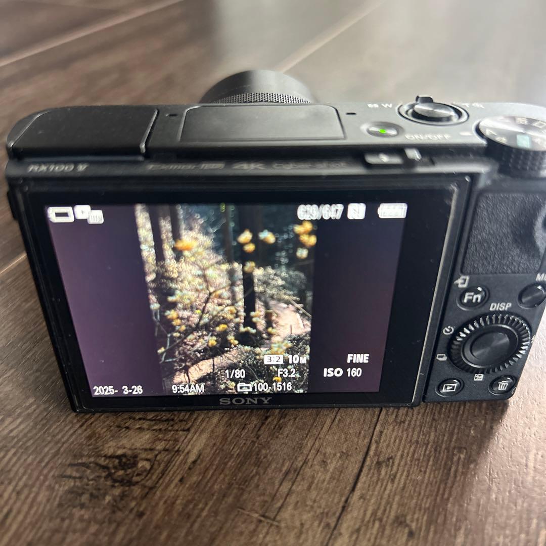 SONY RX100V(DSC-RX100M5) サイバーショット