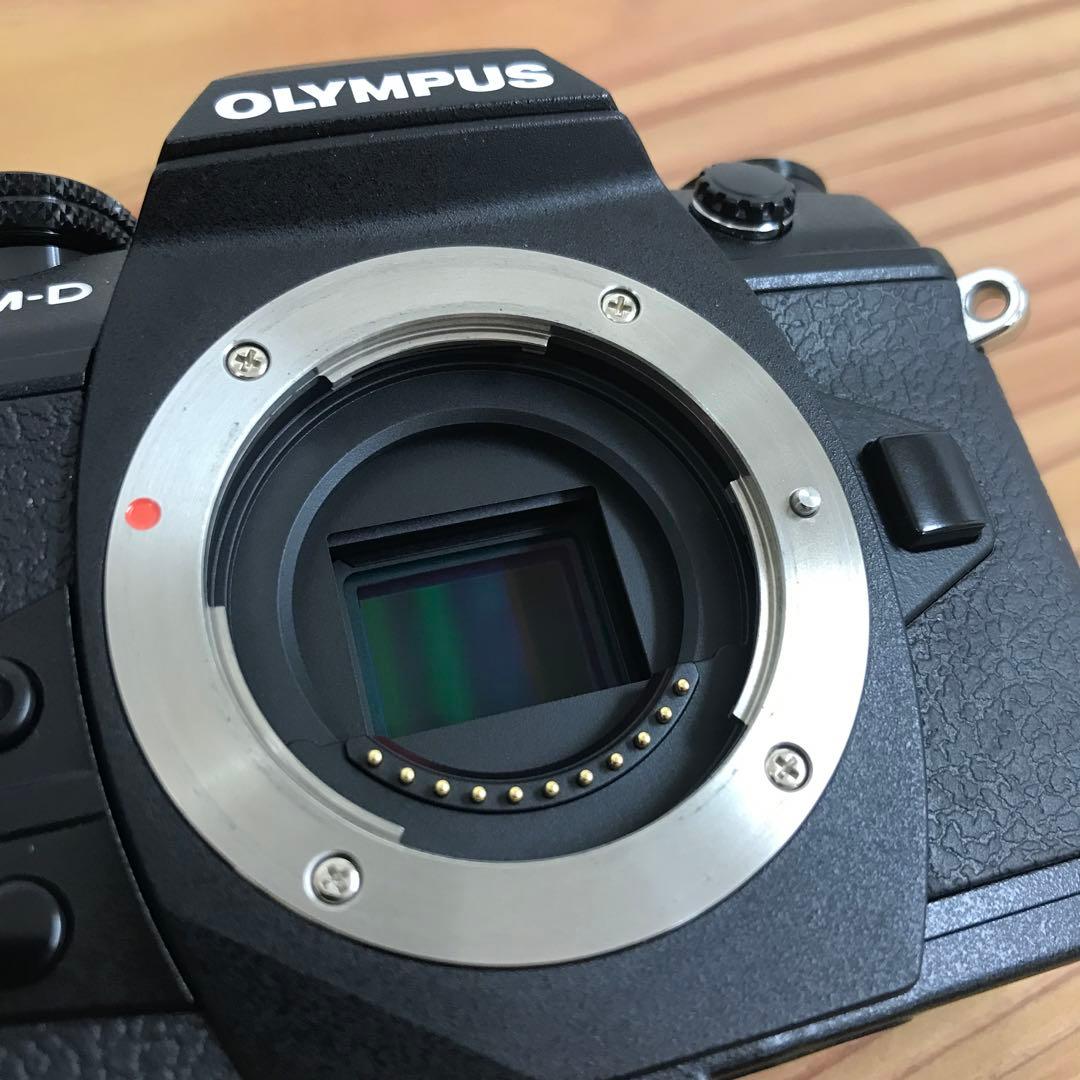 OLYMPUS OM-D E-M1 Mark II ミラーレス一眼