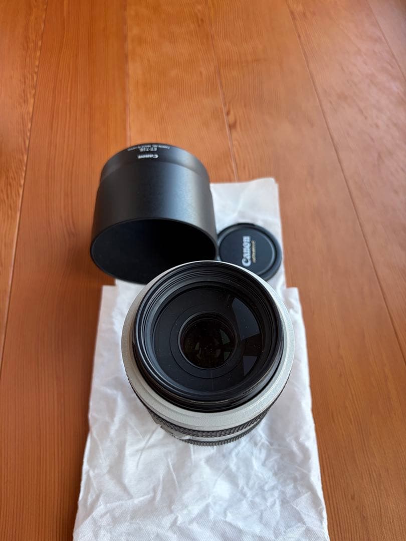 Canon EF70-300mm F4-5.6L IS USM 望遠ズームレンズ