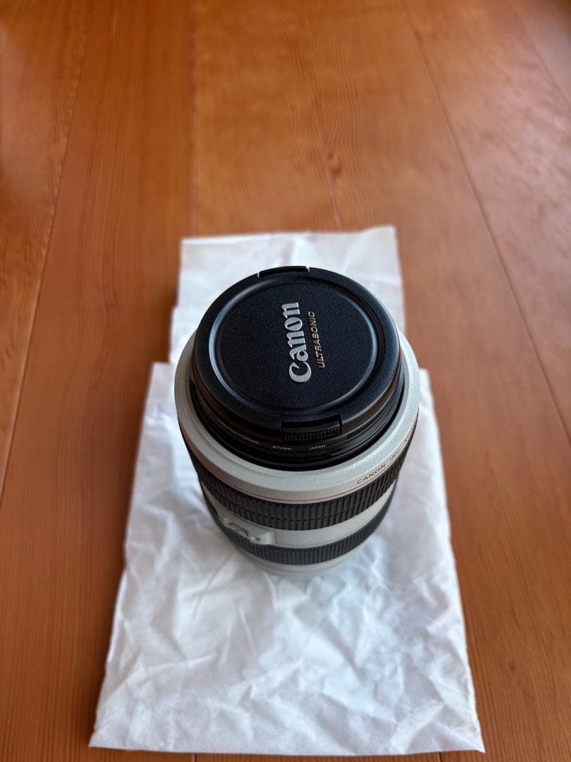 Canon EF70-300mm F4-5.6L IS USM 望遠ズームレンズ