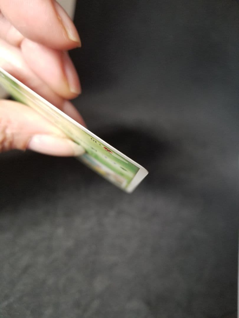 激レア非売品!フシギダネ PROMO DPt-Pプロモカード 030/051