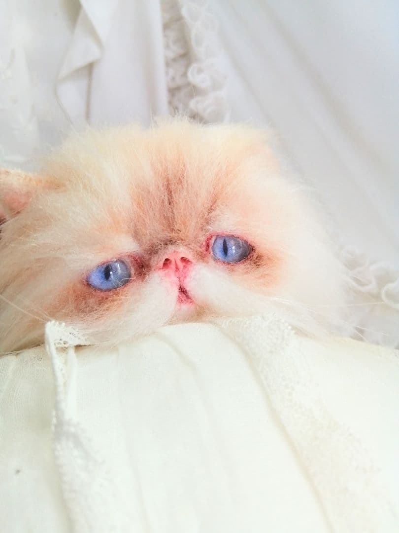 生後６ヶ月♡エキゾチックロングヘア♡子猫ちゃん♡アートドール♡ぬいぐるみ♡