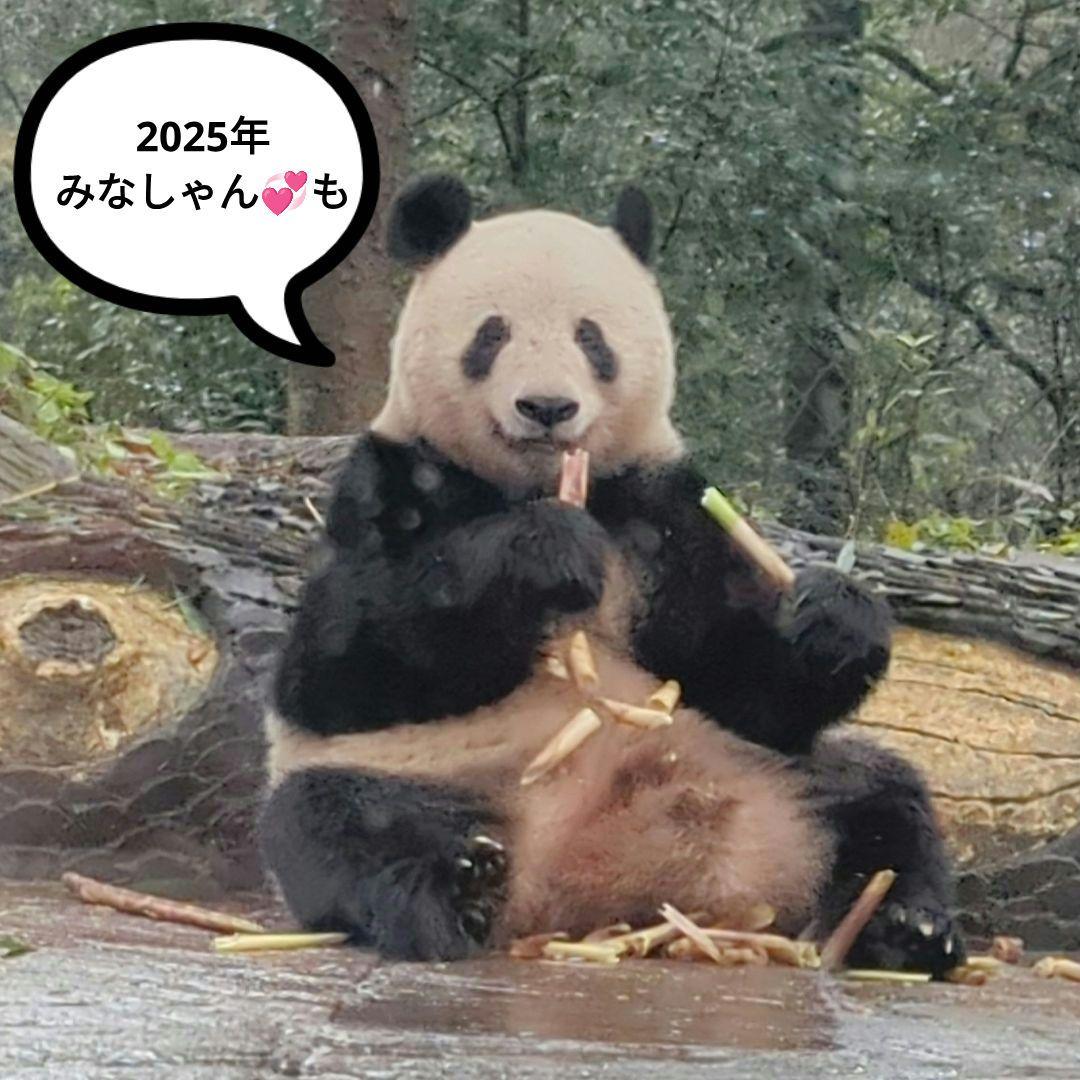 2025年☆明けましておめでとうございます☆