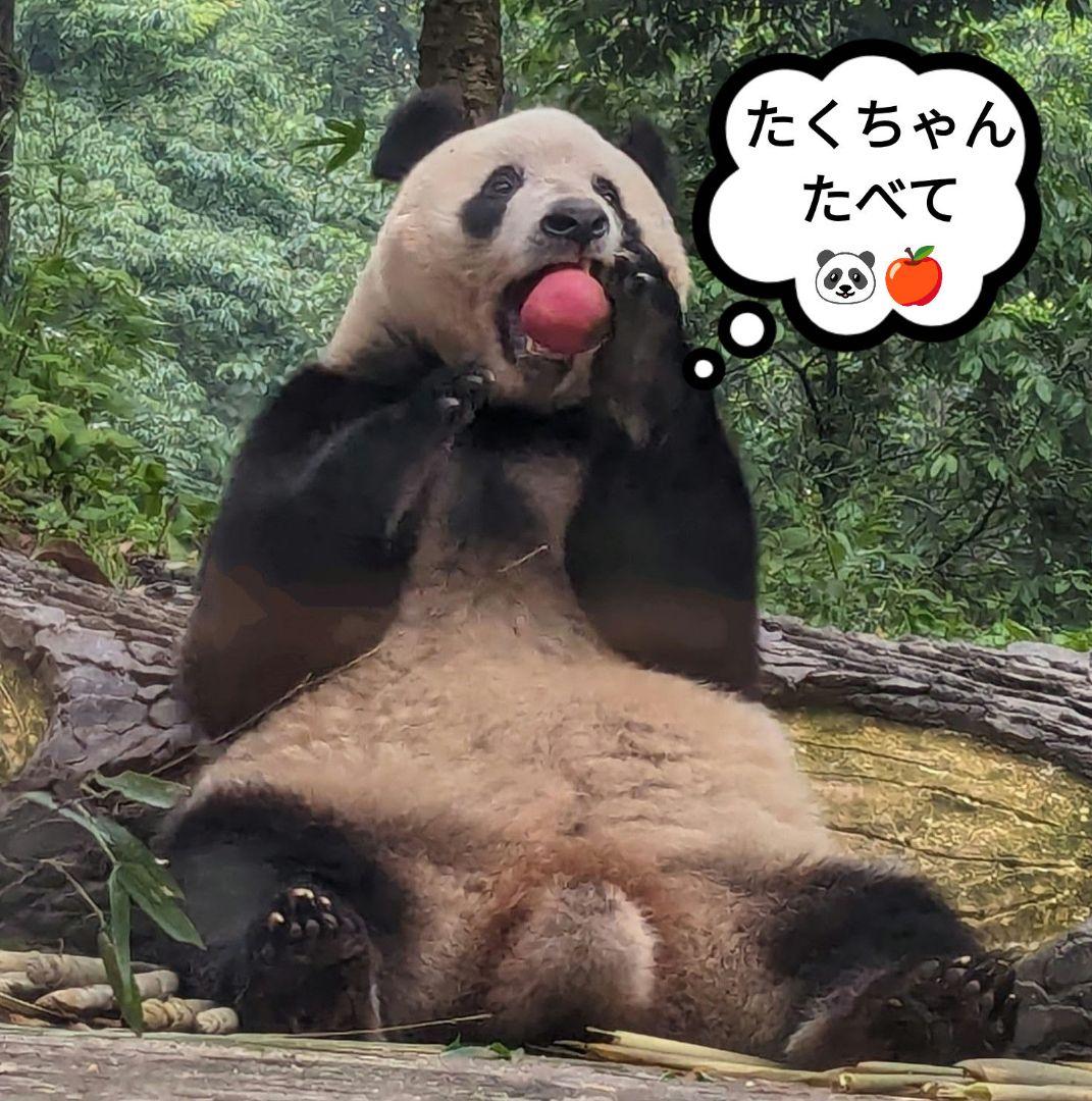 2025年☆明けましておめでとうございます☆
