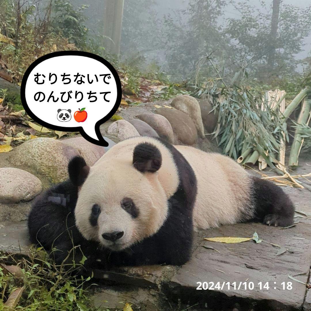 2025年☆明けましておめでとうございます☆