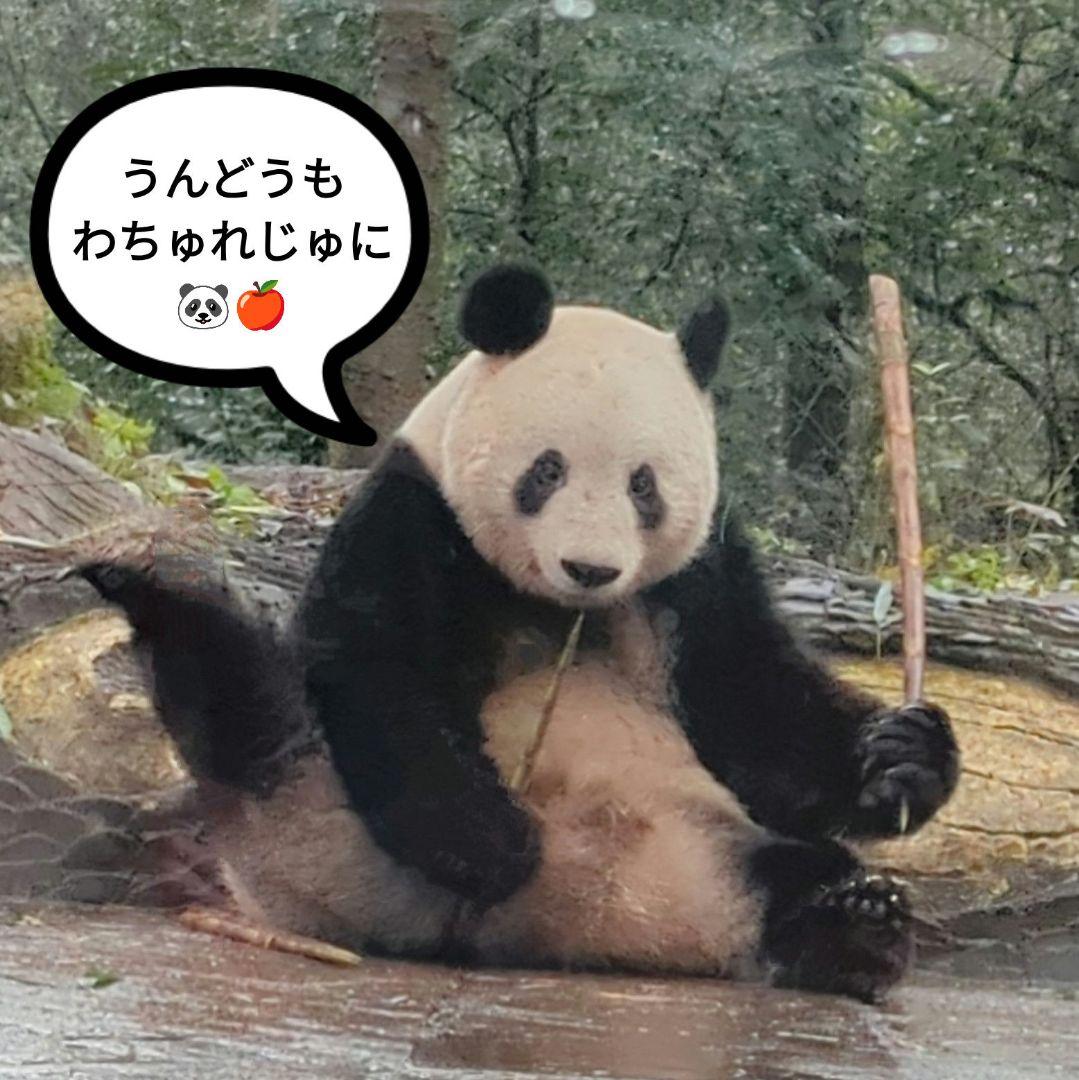 2025年☆明けましておめでとうございます☆