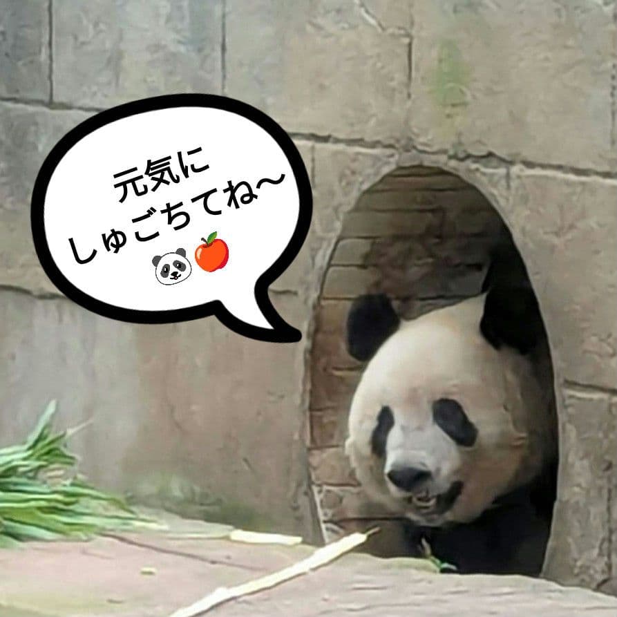 2025年☆明けましておめでとうございます☆