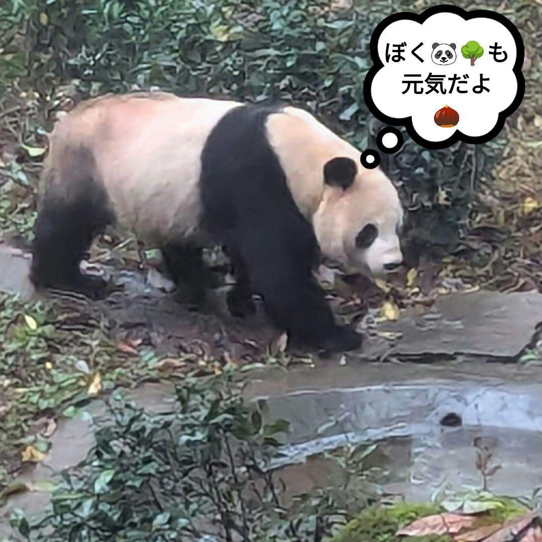 2025年☆明けましておめでとうございます☆