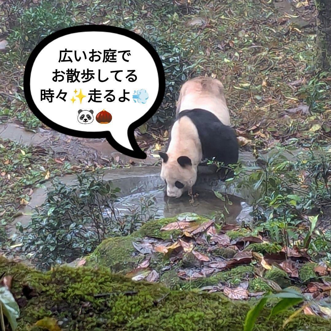 2025年☆明けましておめでとうございます☆