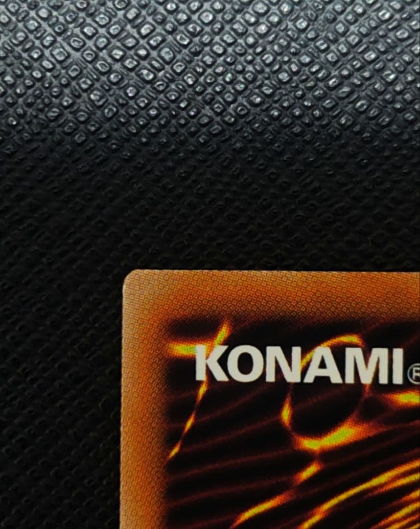 【遊戯王】BLZD-JP024 調和ノ天救竜