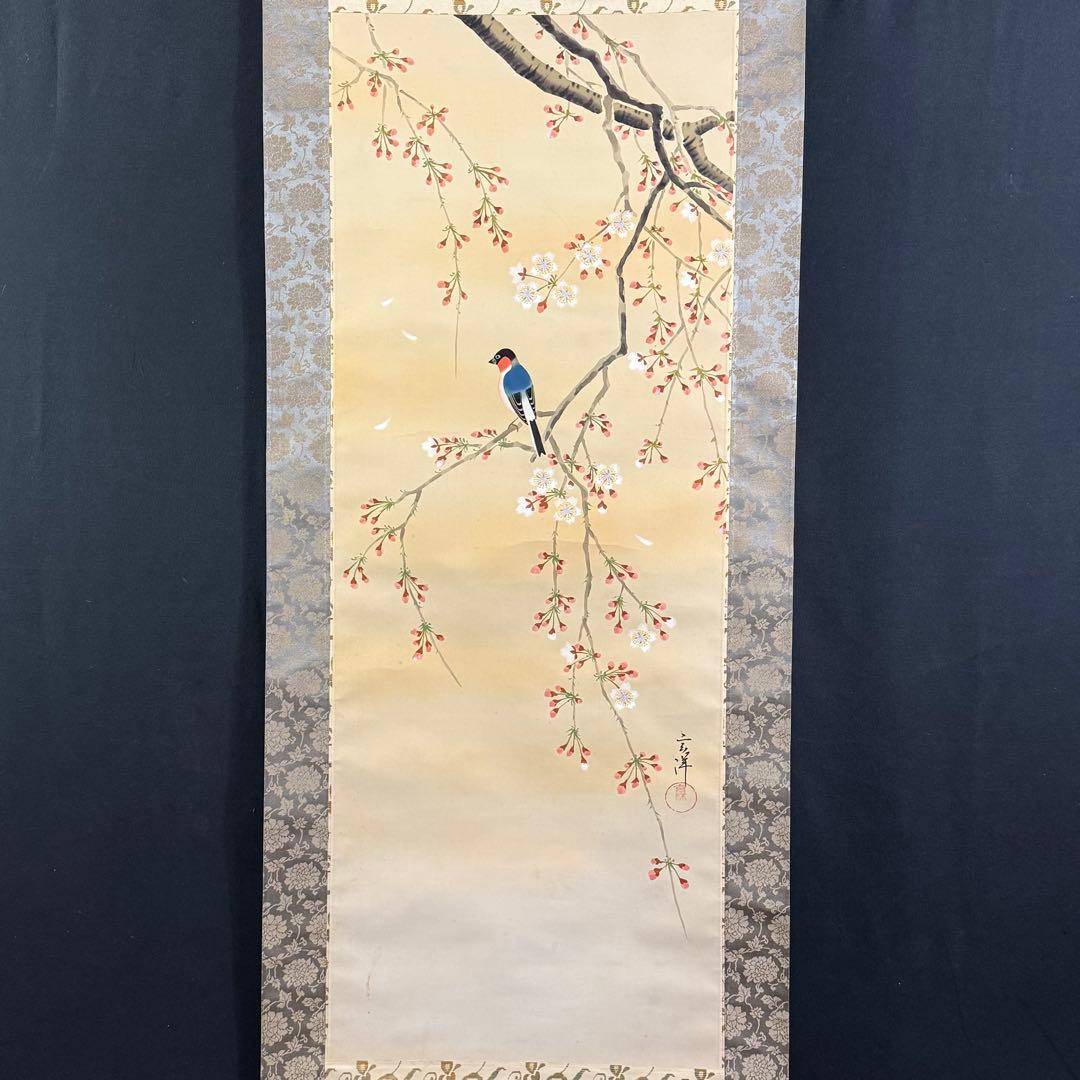 K216 山下玄洋 「櫻花小禽」 掛軸 日本画 絹本 共箱