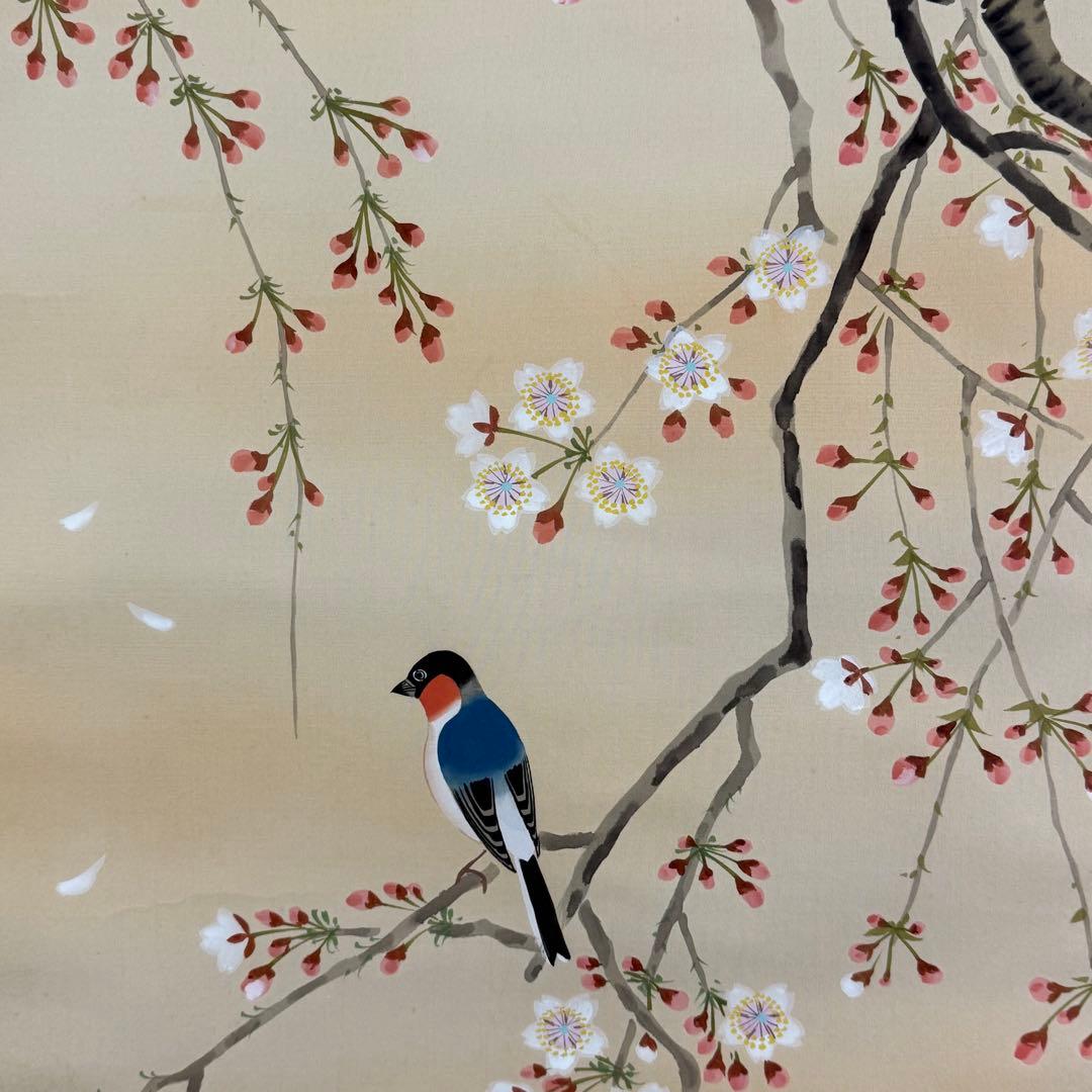 K216 山下玄洋 「櫻花小禽」 掛軸 日本画 絹本 共箱