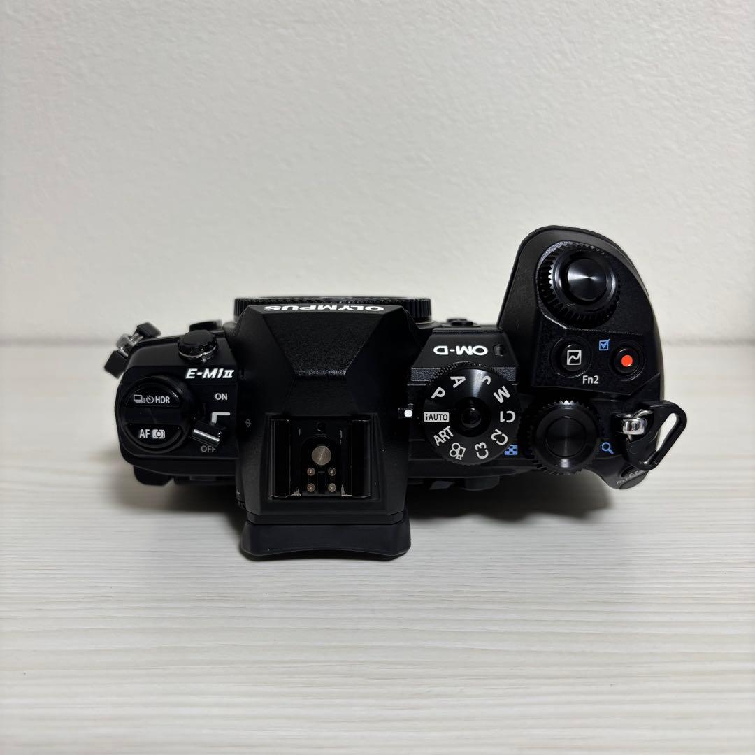 【美品】OM-D E-M1 Mark II + 純正バッテリー2個