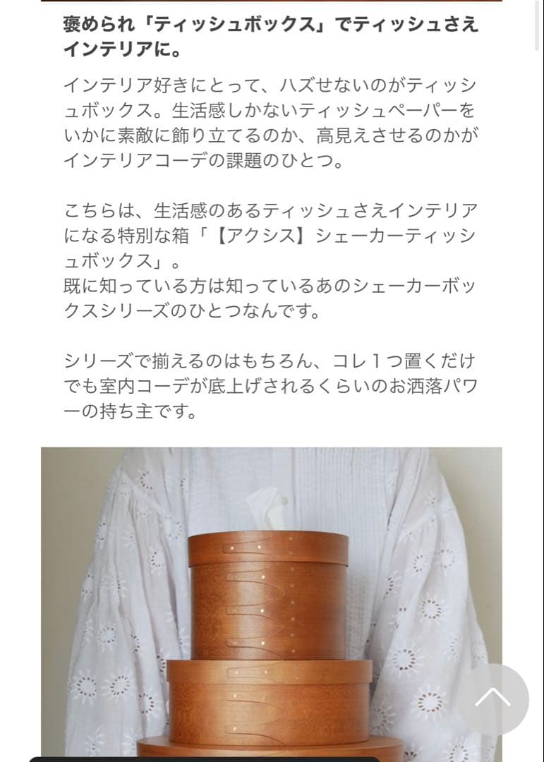 stead アクシス シェーカーティッシュボックス