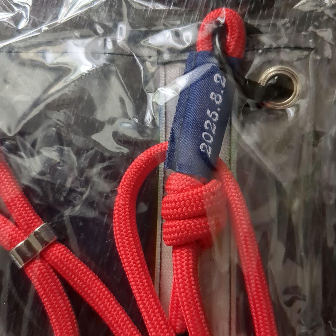 THE ALFEE 夏イベ　メモリアルチケット、飛来物