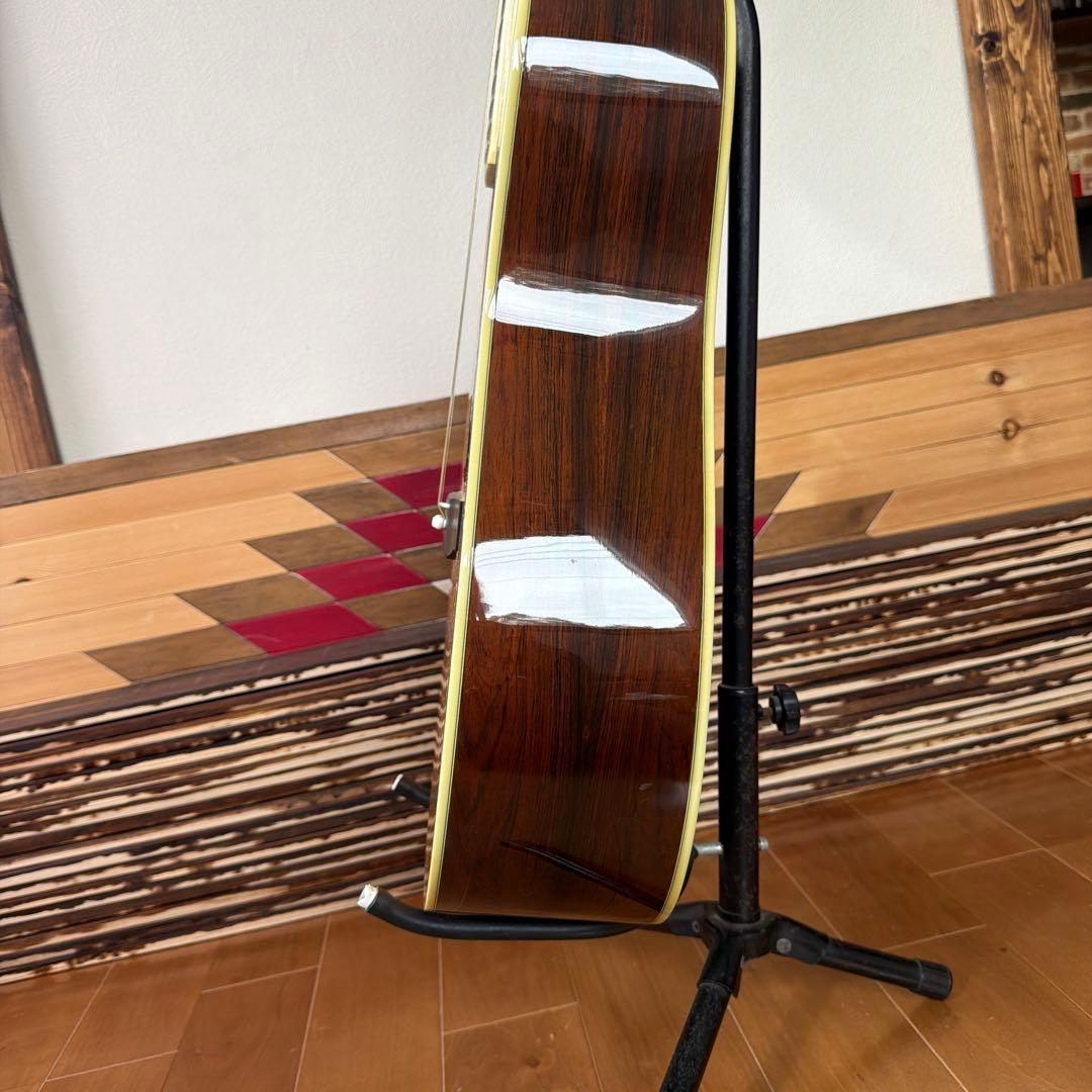 Morris TF-50 SP アコースティックギター