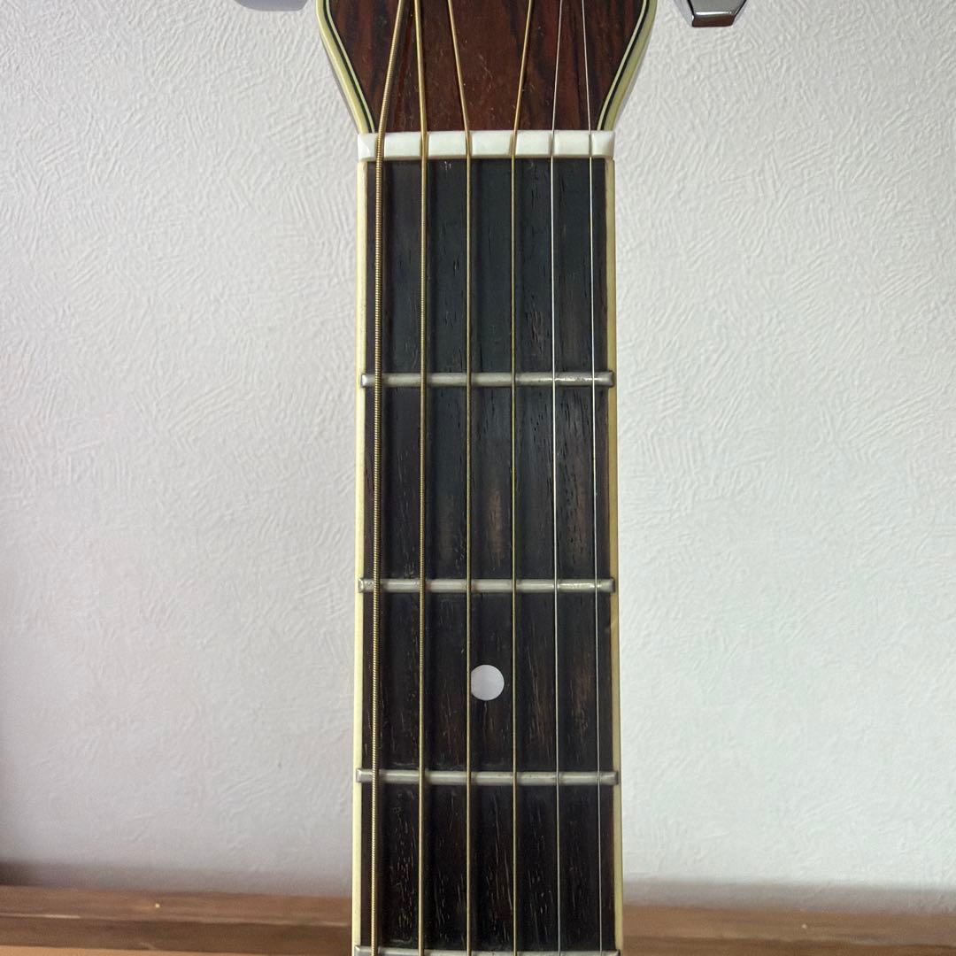 Morris TF-50 SP アコースティックギター