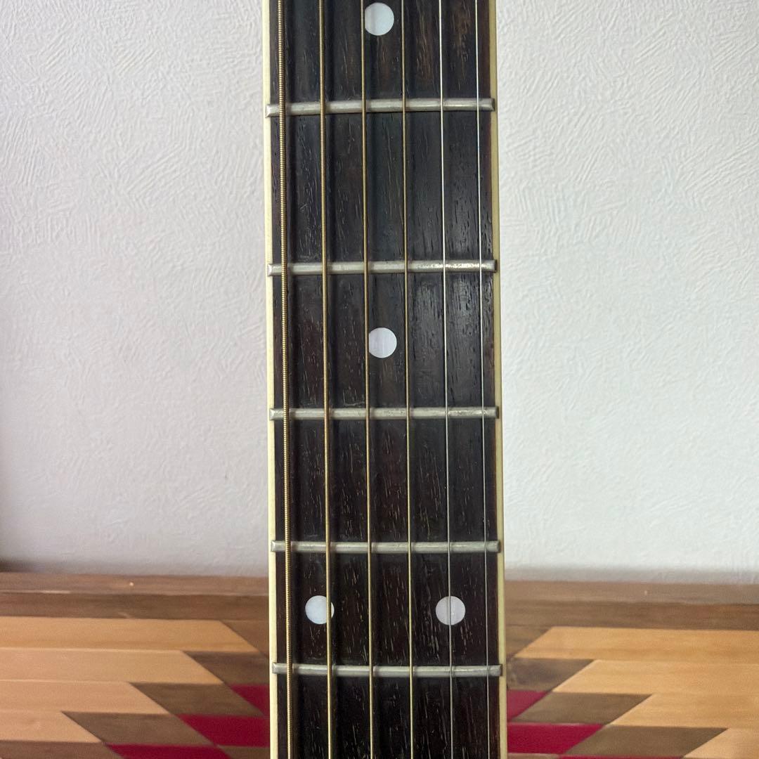 Morris TF-50 SP アコースティックギター