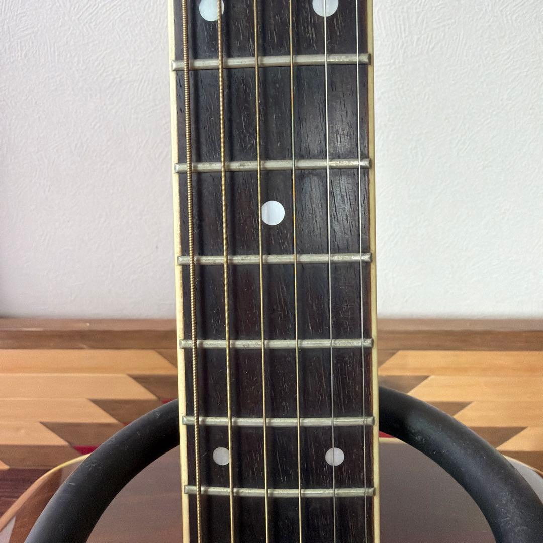 Morris TF-50 SP アコースティックギター