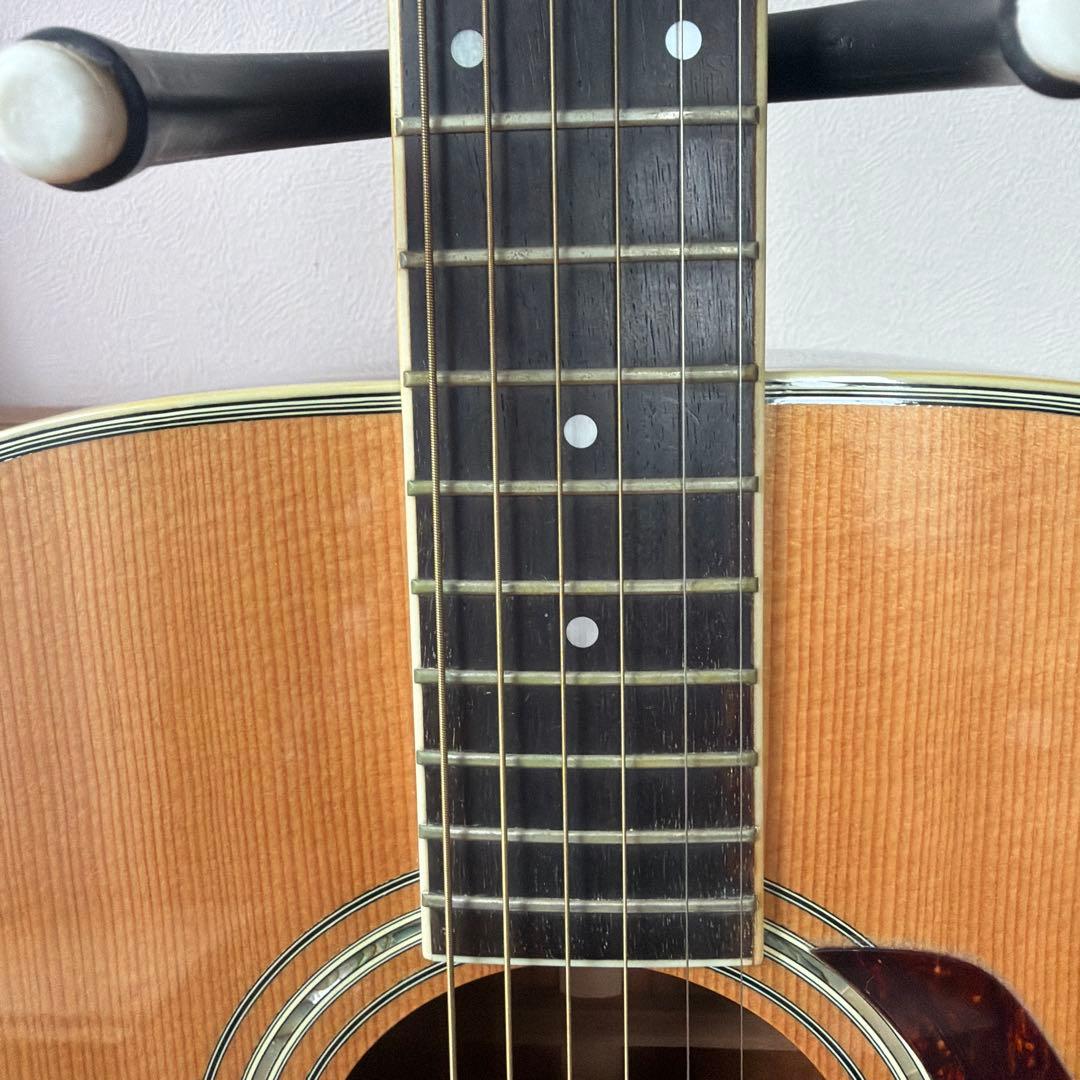 Morris TF-50 SP アコースティックギター