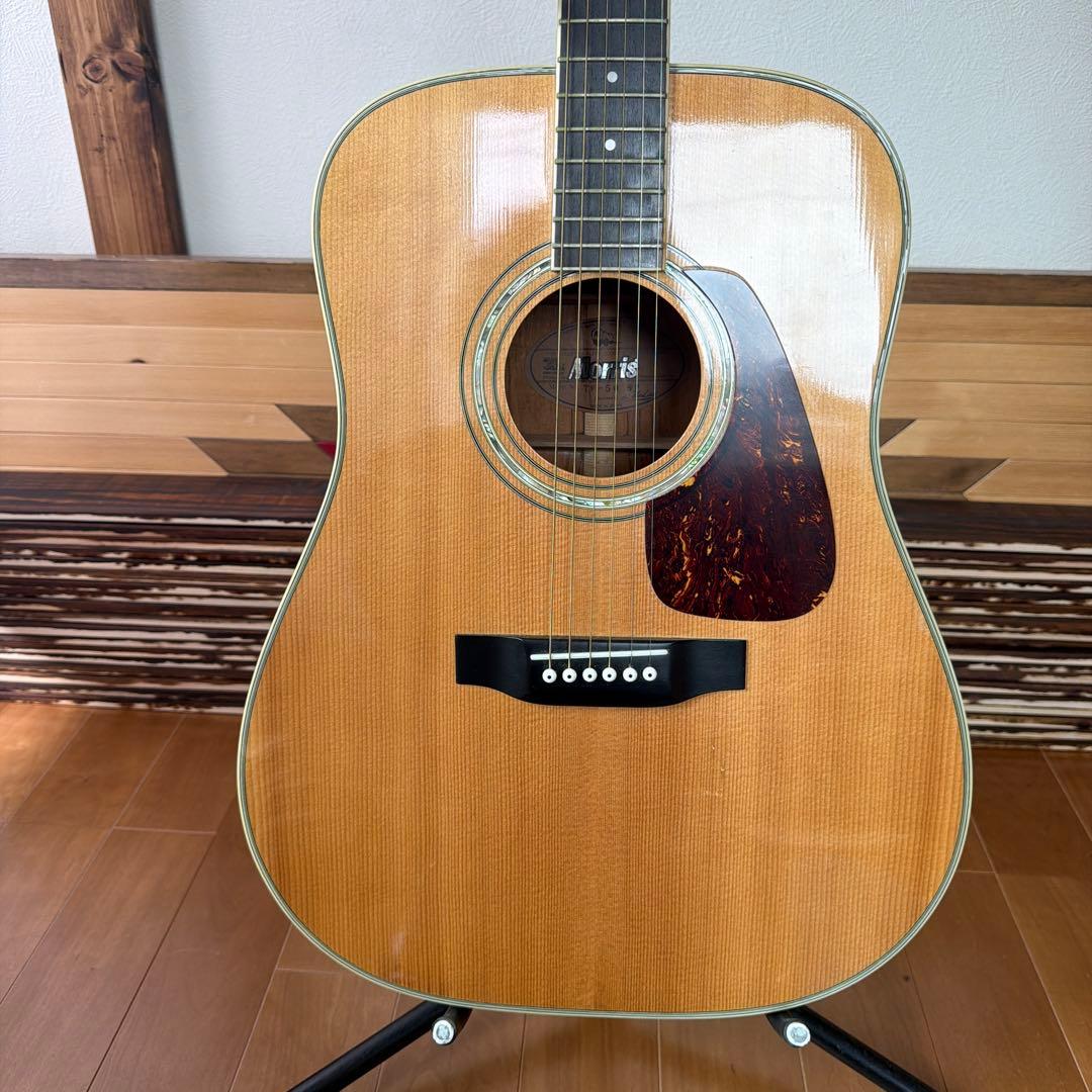 Morris TF-50 SP アコースティックギター