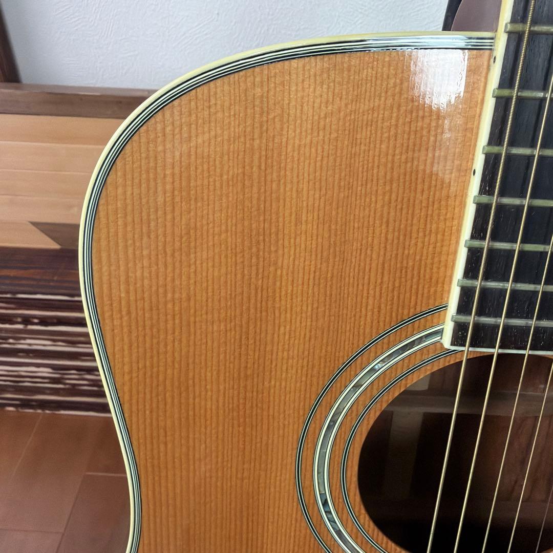 Morris TF-50 SP アコースティックギター