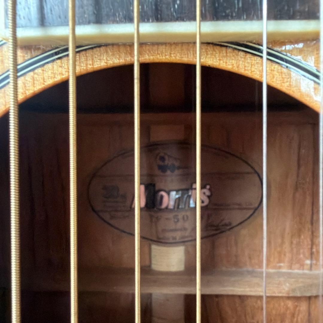 Morris TF-50 SP アコースティックギター