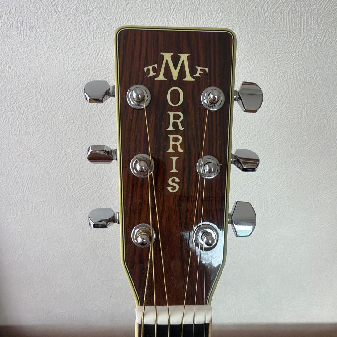 Morris TF-50 SP アコースティックギター