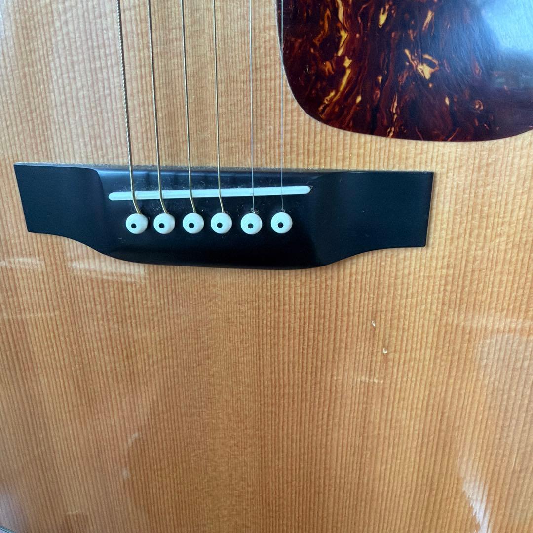 Morris TF-50 SP アコースティックギター