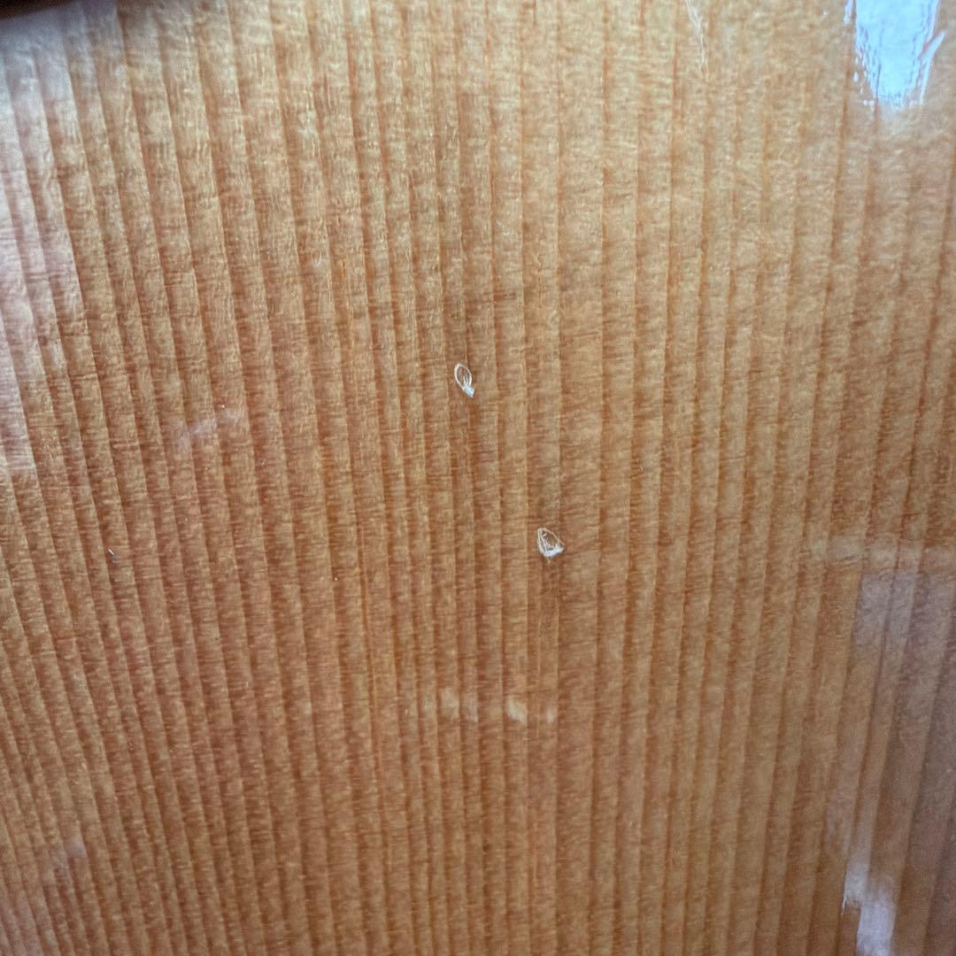 Morris TF-50 SP アコースティックギター