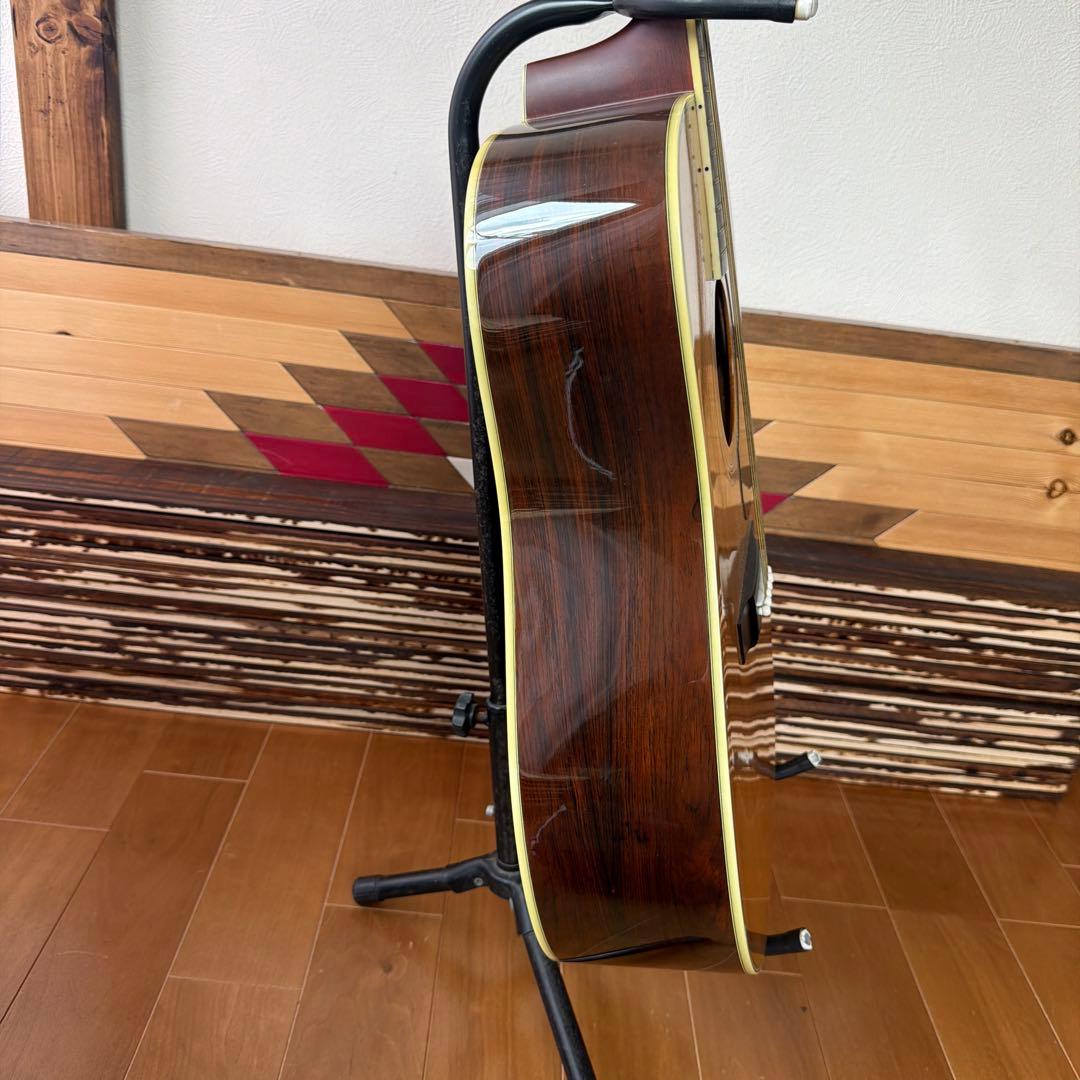 Morris TF-50 SP アコースティックギター