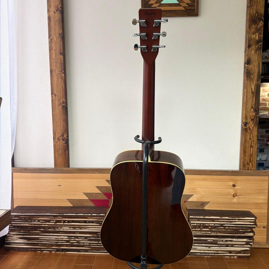 Morris TF-50 SP アコースティックギター