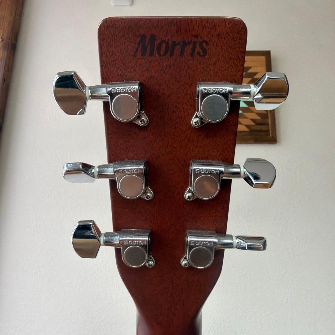 Morris TF-50 SP アコースティックギター