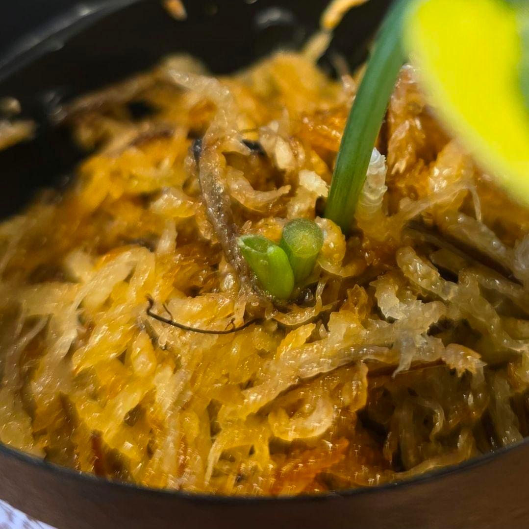 【2点】エキゾチカホログラムバリエガータ & アポラキ、スキンダプサス 発根済